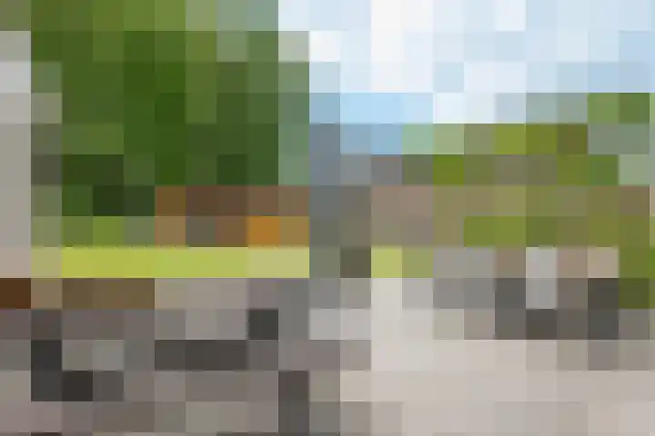 Zevenwoldsterweg 3 Meeden thumbnail 27