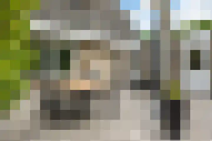 Zevenwoldsterweg 3 Meeden thumbnail 28