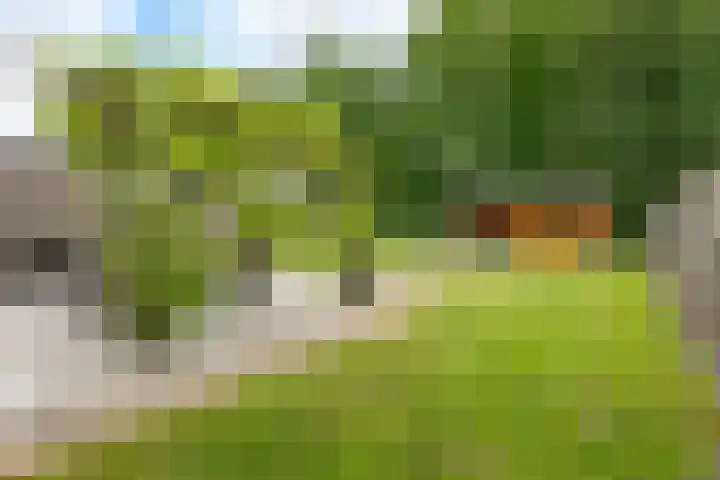 Zevenwoldsterweg 3 Meeden thumbnail 29
