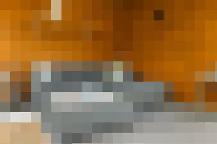 Zevenwoldsterweg 3 Meeden thumbnail 31