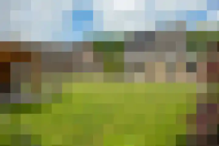 Zevenwoldsterweg 3 Meeden thumbnail 32