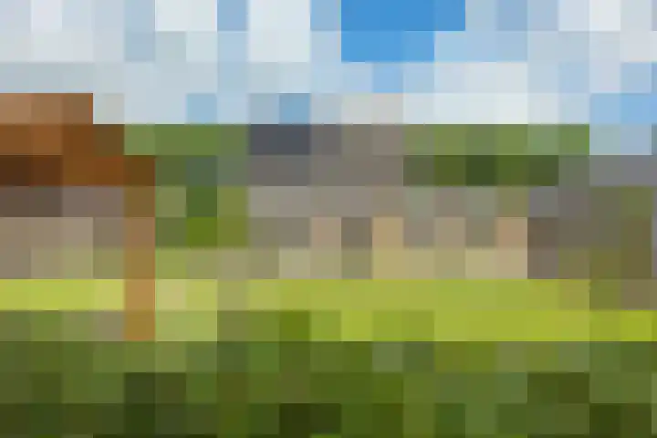 Zevenwoldsterweg 3 Meeden thumbnail 33