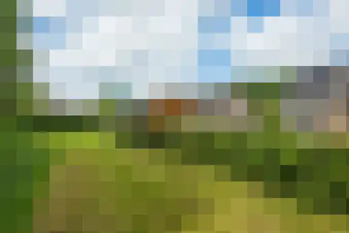 Zevenwoldsterweg 3 Meeden thumbnail 34