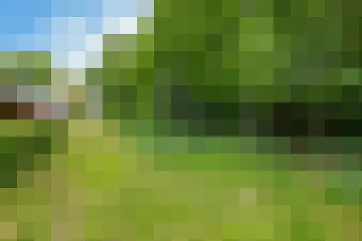Zevenwoldsterweg 3 Meeden thumbnail 35