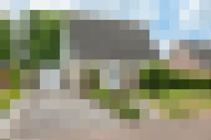 Zevenwoldsterweg 3 Meeden thumbnail 38