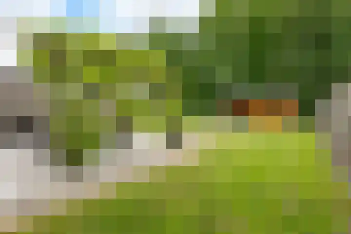 Zevenwoldsterweg 3 Meeden thumbnail 5
