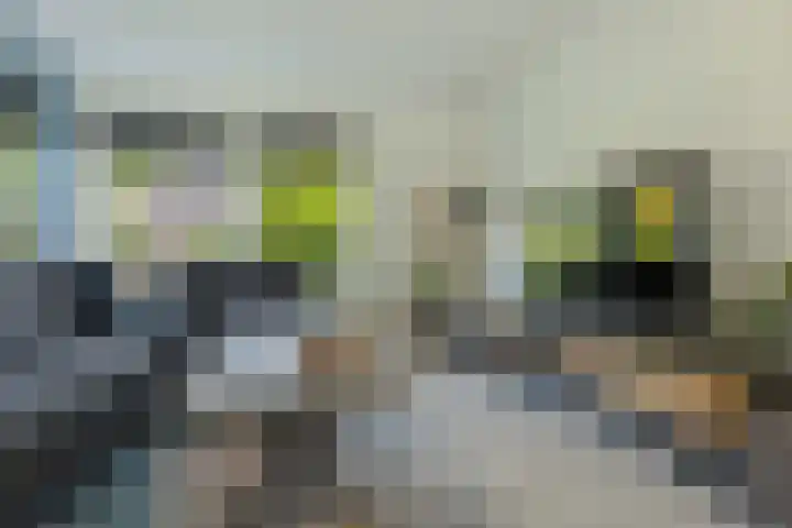 Zevenwoldsterweg 3 Meeden thumbnail 8