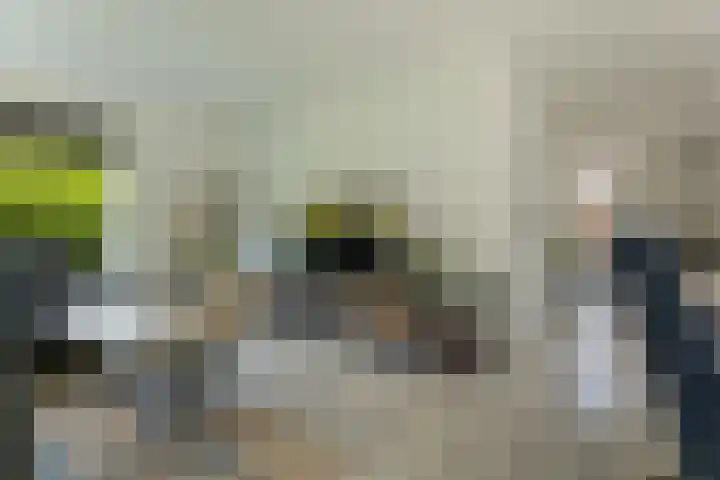 Zevenwoldsterweg 3 Meeden thumbnail 9