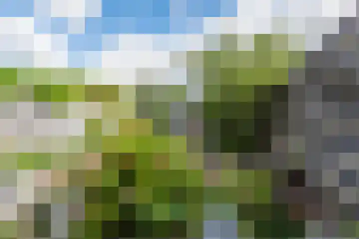 Zevenwouden 108 Lelystad thumbnail 31