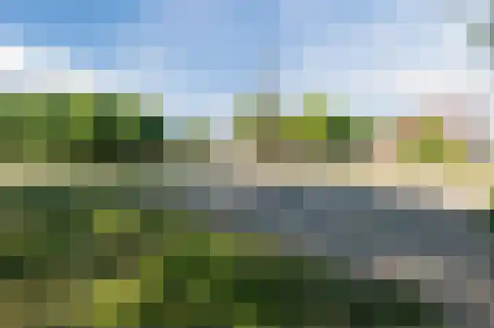 Zevenwouden 108 Lelystad thumbnail 43