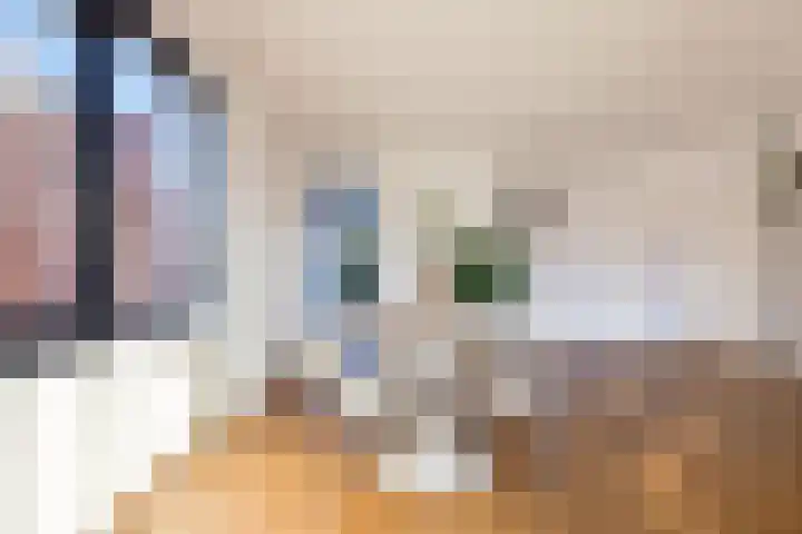 Zevenwouden 155 Utrecht thumbnail 13
