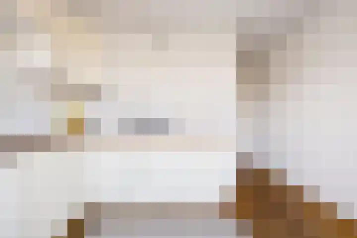 Zevenwouden 155 Utrecht thumbnail 14