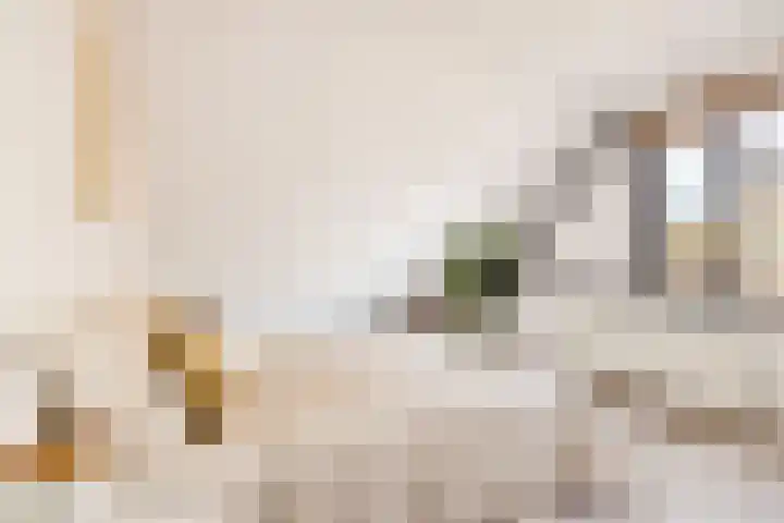 Zevenwouden 155 Utrecht thumbnail 19