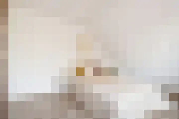Zevenwouden 155 Utrecht thumbnail 20