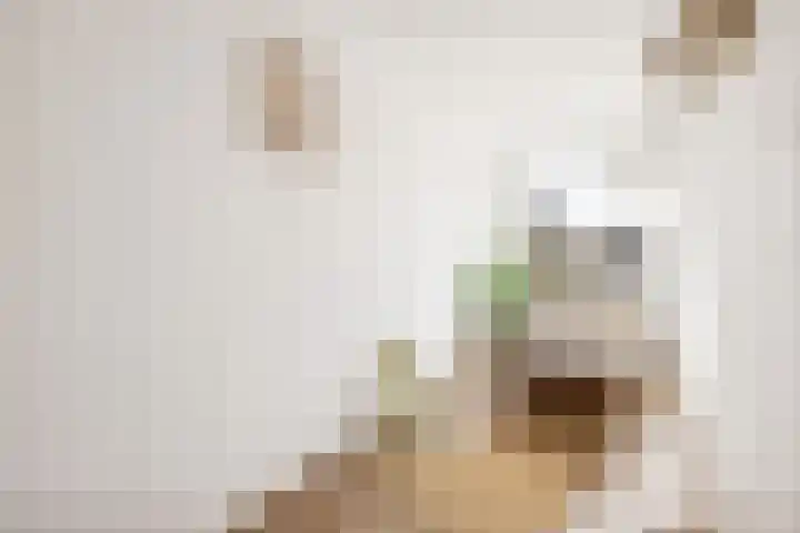 Zevenwouden 155 Utrecht thumbnail 22