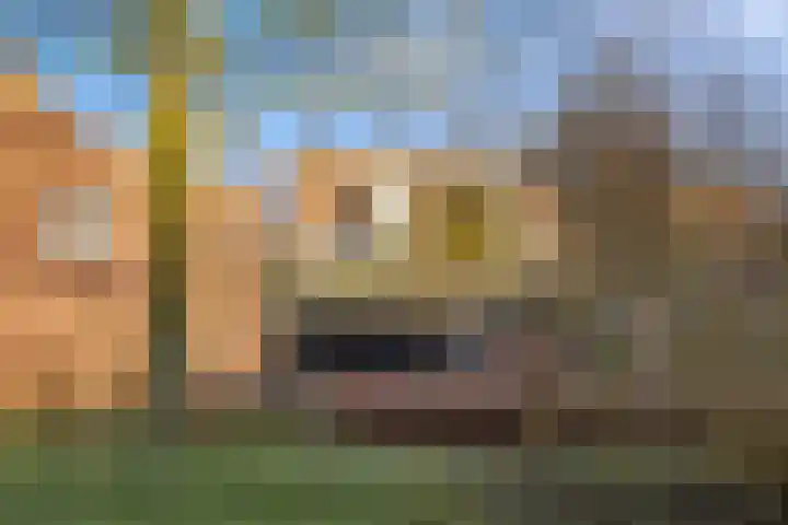Zevenwouden 155 Utrecht thumbnail 33
