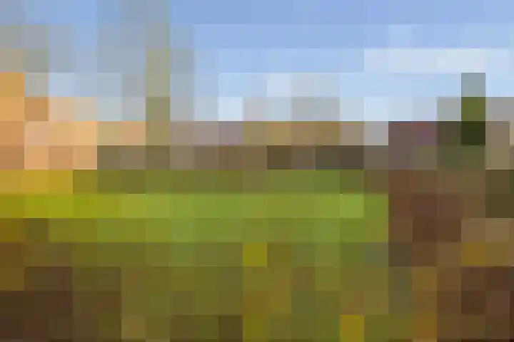 Zevenwouden 155 Utrecht thumbnail 35