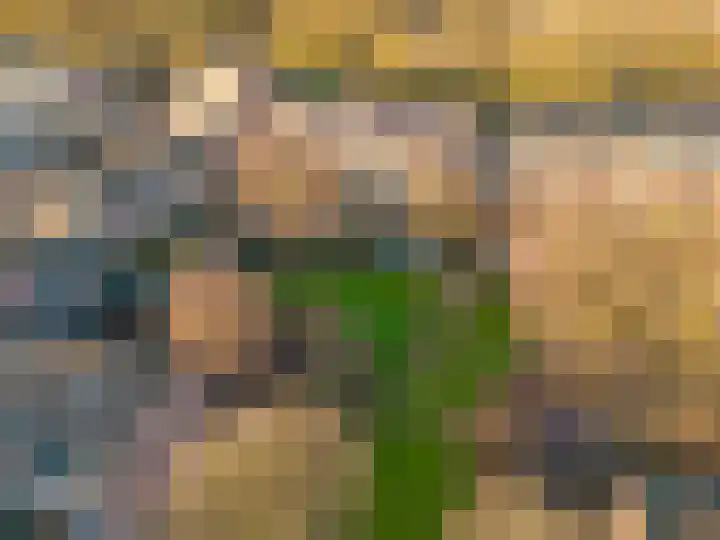 Zevenwouden 155 Utrecht thumbnail 36