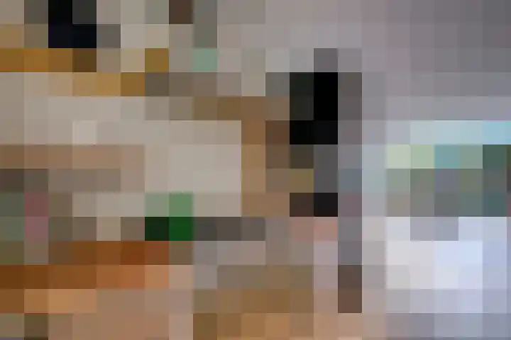 Zevenwouden 167 Utrecht thumbnail 11