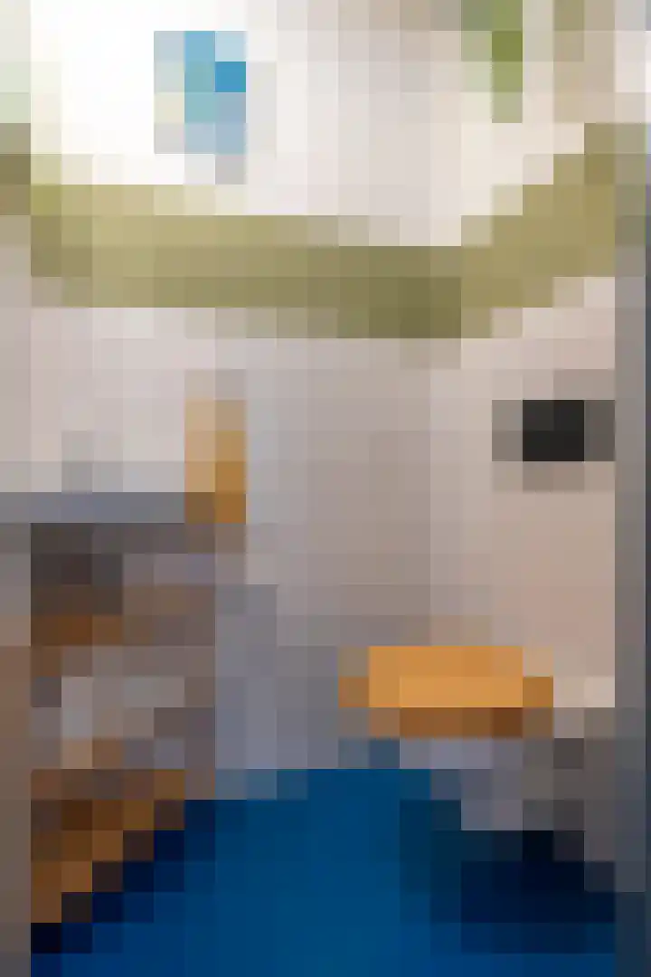 Zevenwouden 167 Utrecht thumbnail 37