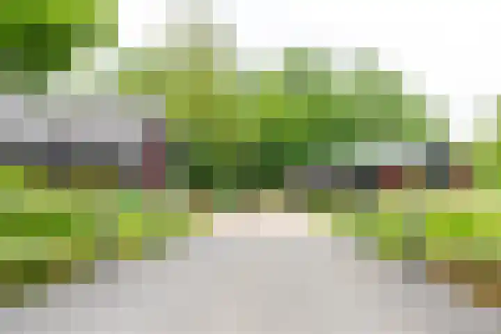 Zevenwouden 167 Utrecht thumbnail 38
