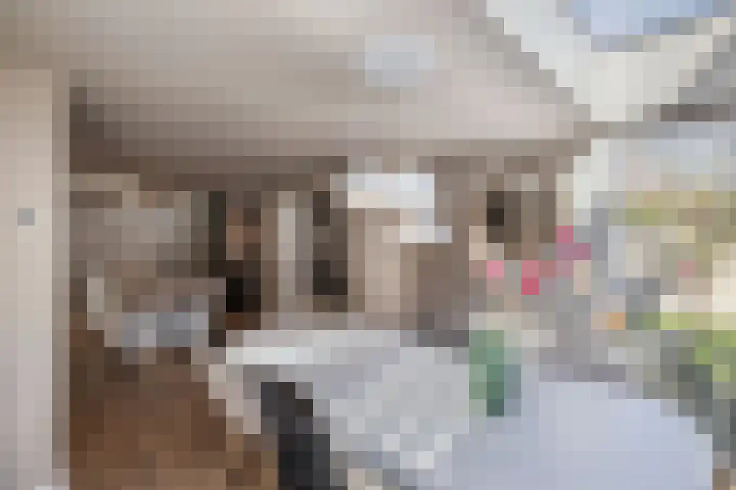Zevenwouden 19 Emmeloord thumbnail 11