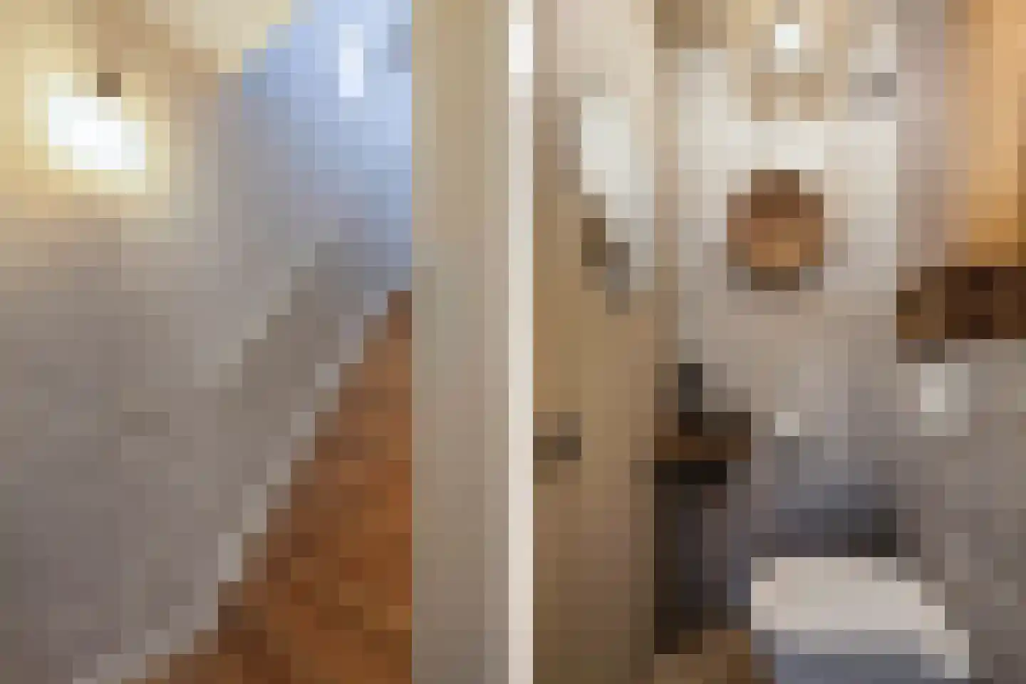 Zevenwouden 19 Emmeloord thumbnail 18