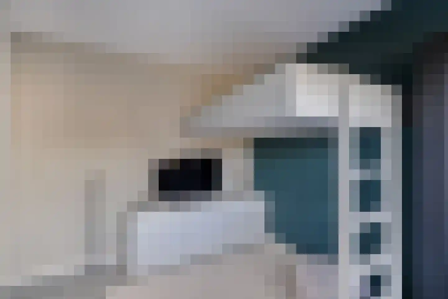 Zevenwouden 19 Emmeloord thumbnail 22