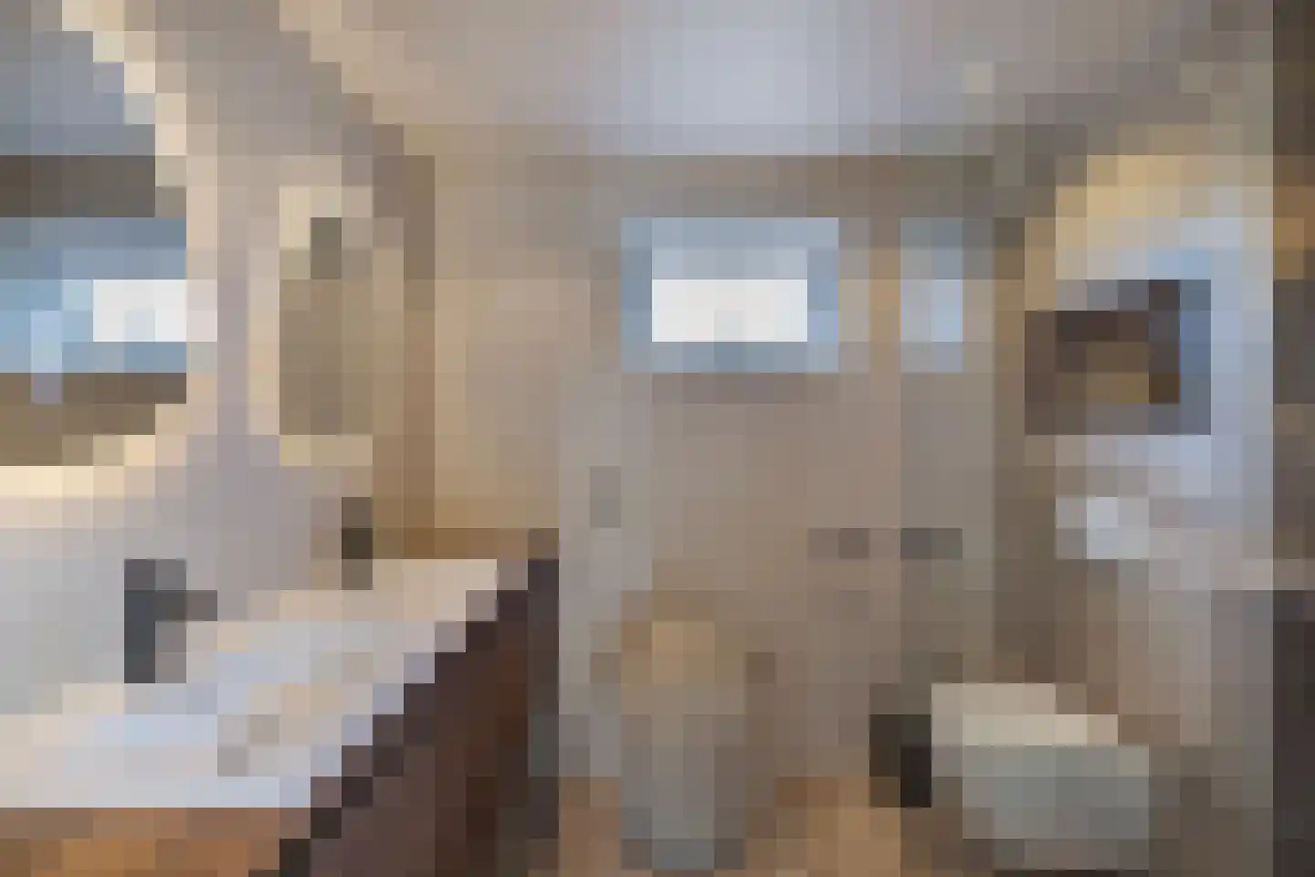 Zevenwouden 19 Emmeloord thumbnail 24