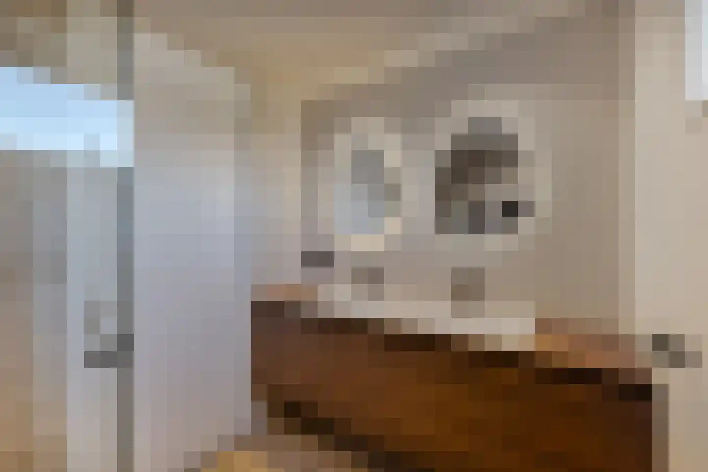 Zevenwouden 19 Emmeloord thumbnail 25