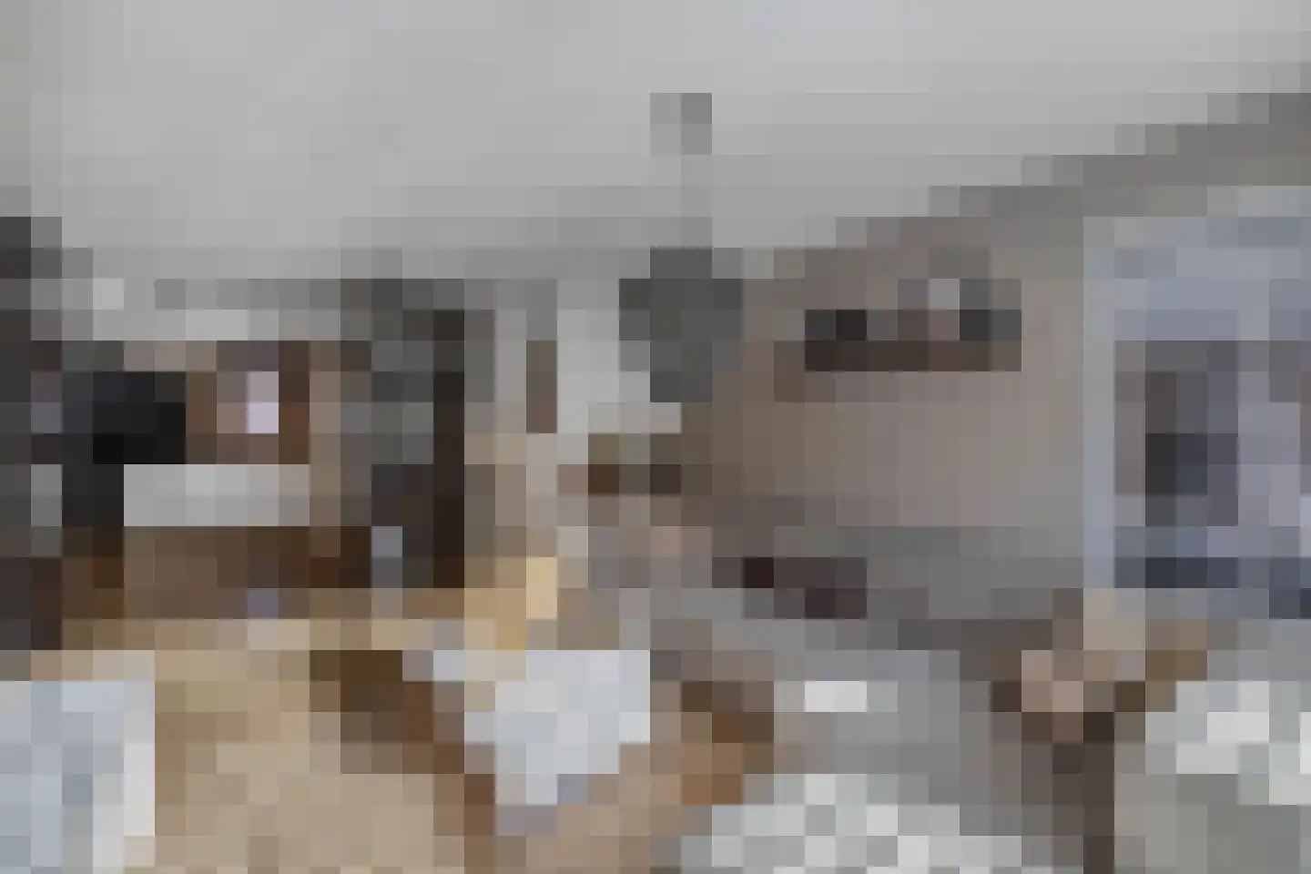 Zevenwouden 19 Emmeloord thumbnail 4