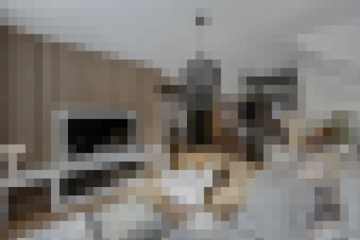 Zevenwouden 19 Emmeloord thumbnail 6