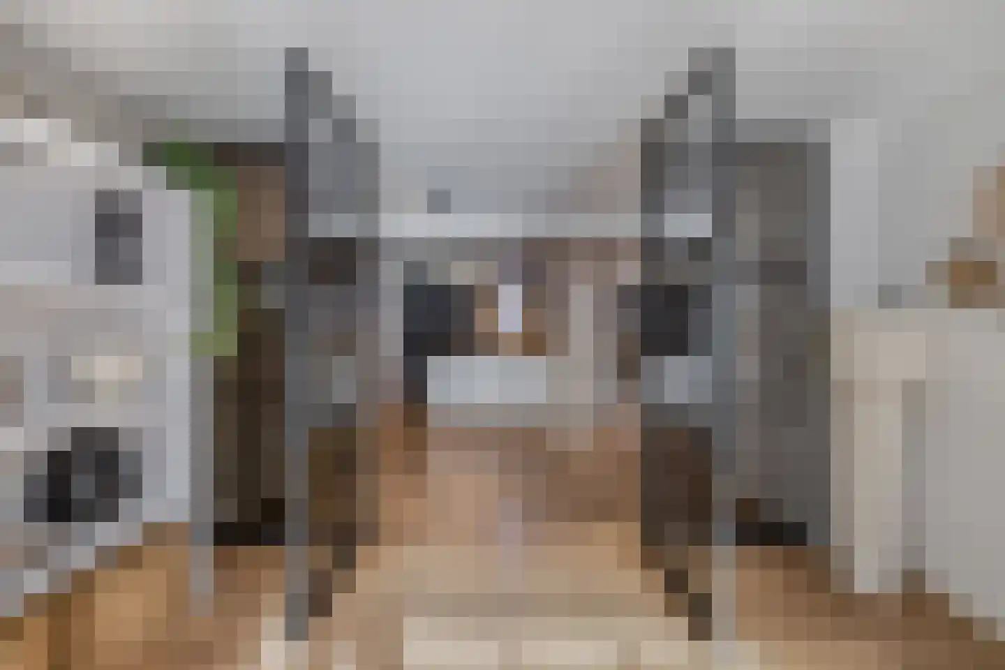 Zevenwouden 19 Emmeloord thumbnail 7