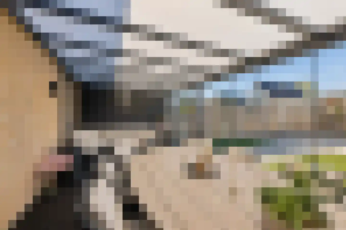 Zevenwouden 40 Lelystad thumbnail 42