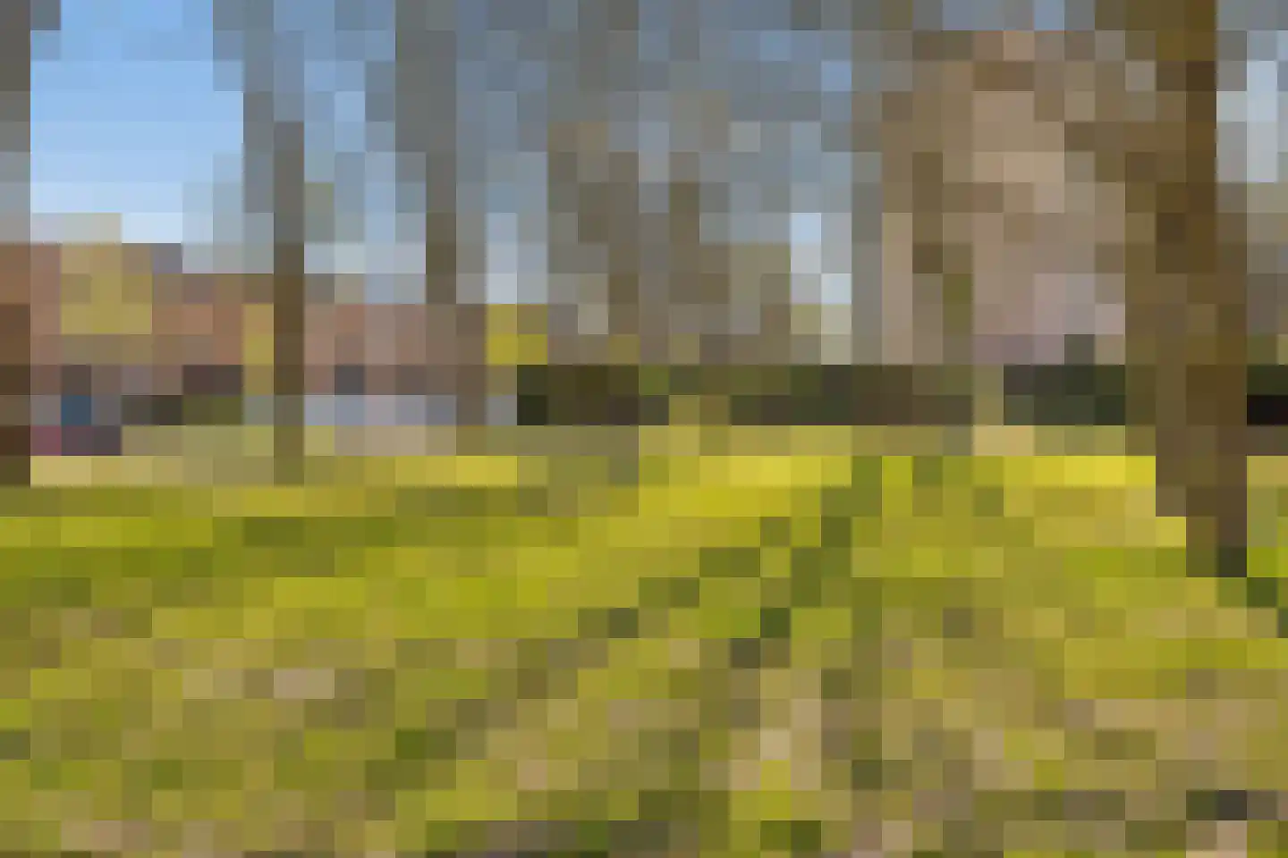 Zevenwouden 40 Lelystad thumbnail 52