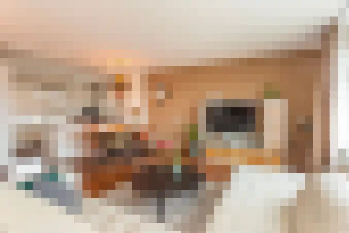 Zevenwouden 44 Utrecht thumbnail 17