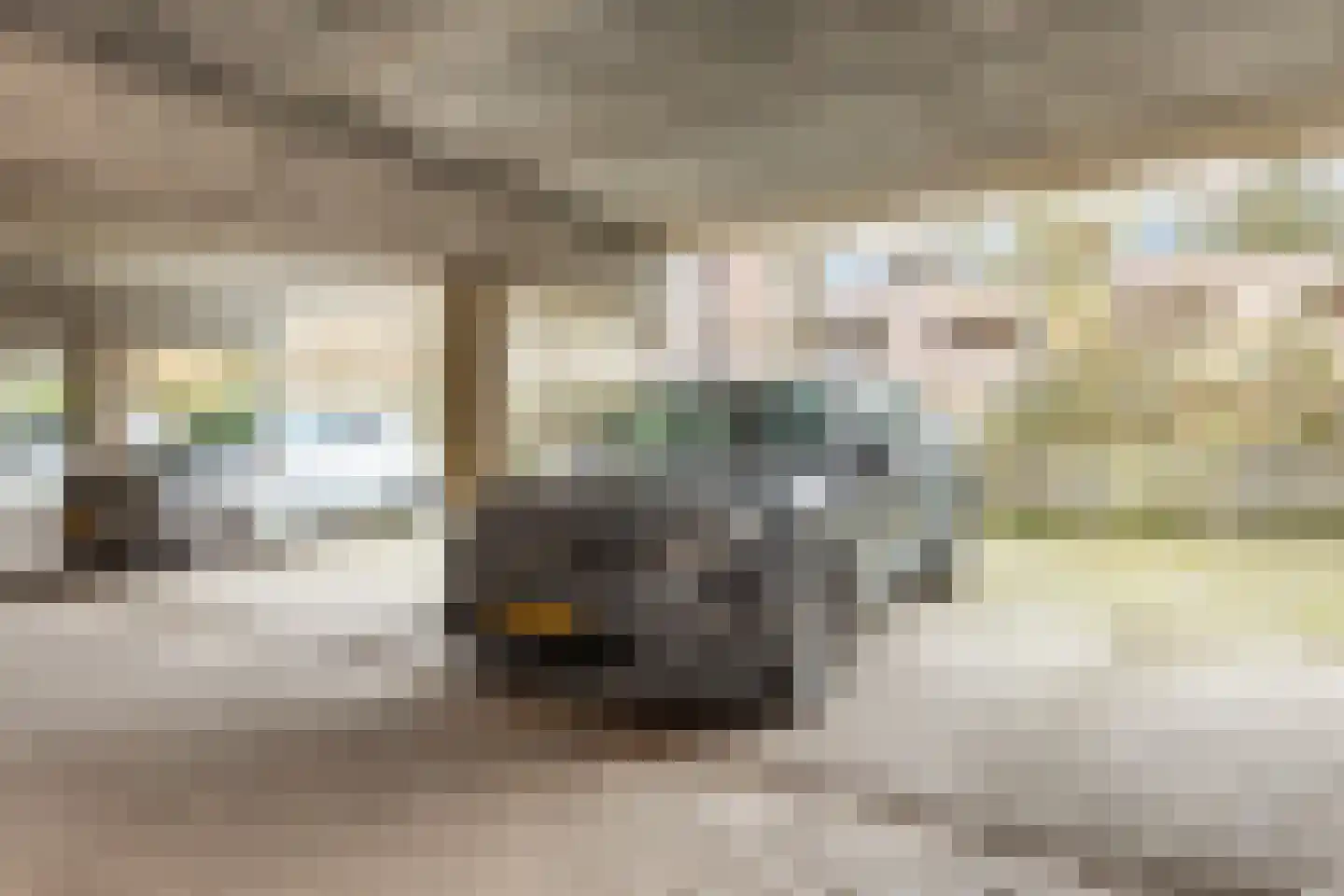 Zevenwouden 44 Utrecht thumbnail 35