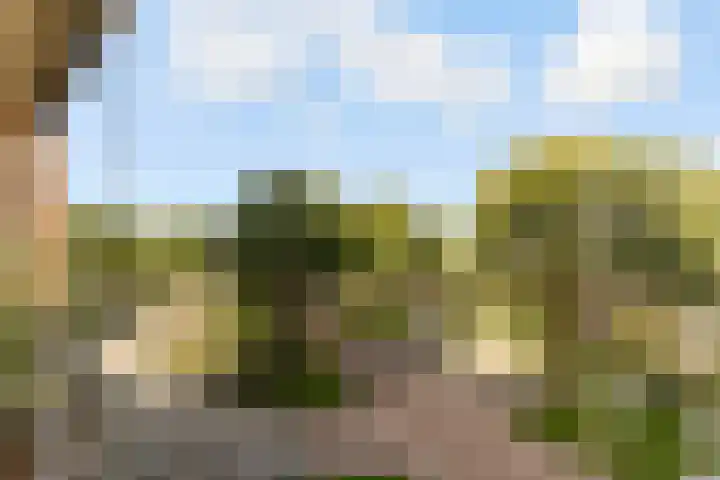 Zevenwouden 5 Lelystad thumbnail 22