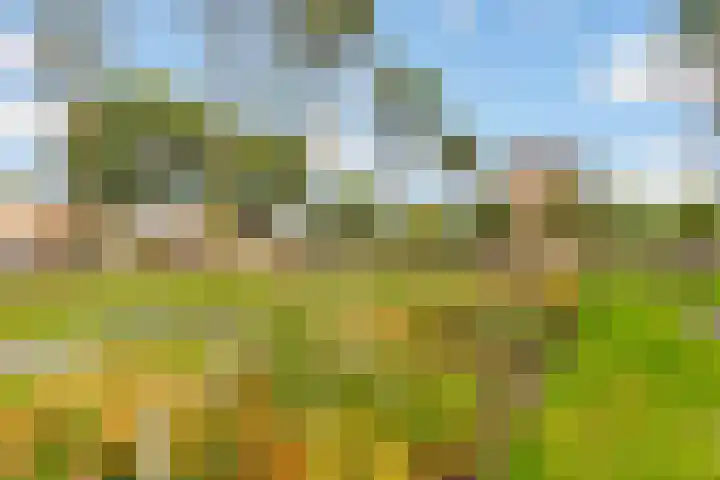 Zevenwouden 5 Lelystad thumbnail 29