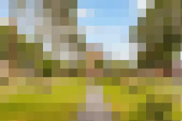 Zevenwouden 5 Lelystad thumbnail 30