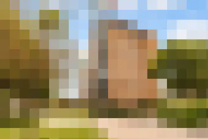 Zevenwouden 5 Lelystad thumbnail 31