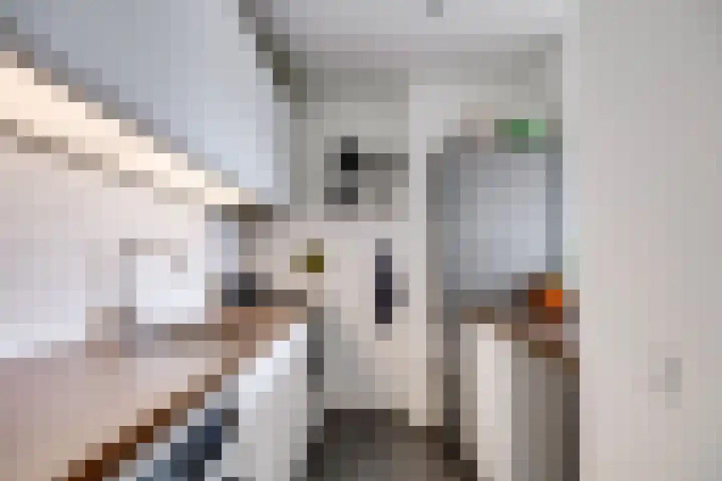 Zevenwouden 50 Utrecht thumbnail 20