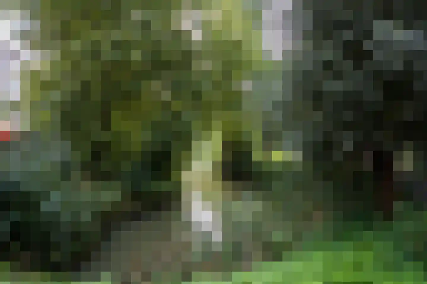 Zevenwouden 50 Utrecht thumbnail 47
