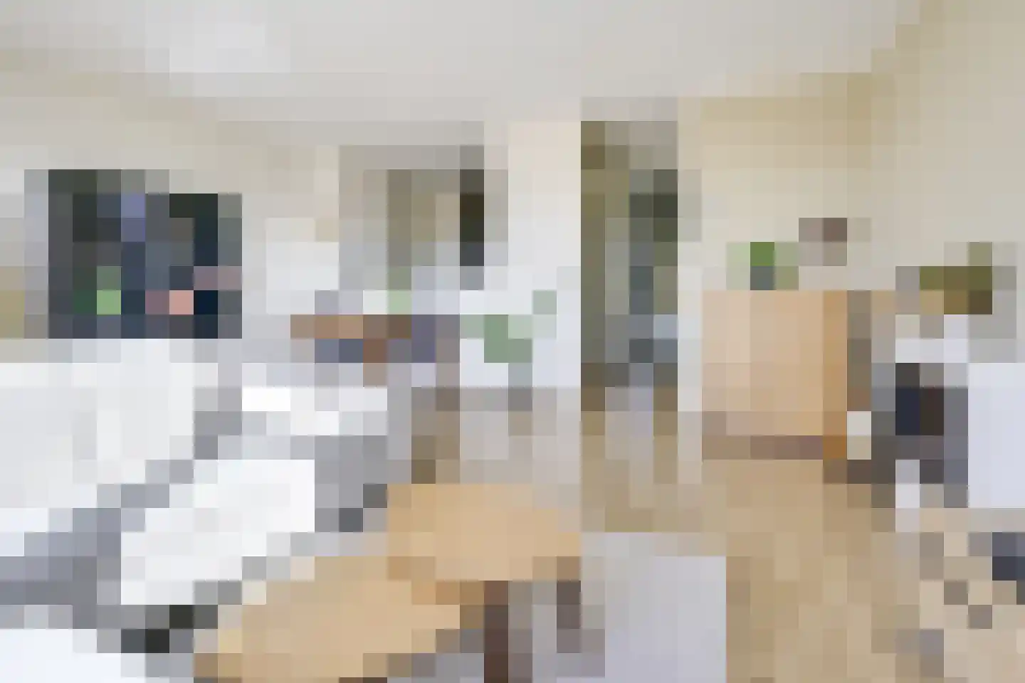 Zevenwouden 52 Utrecht thumbnail 13