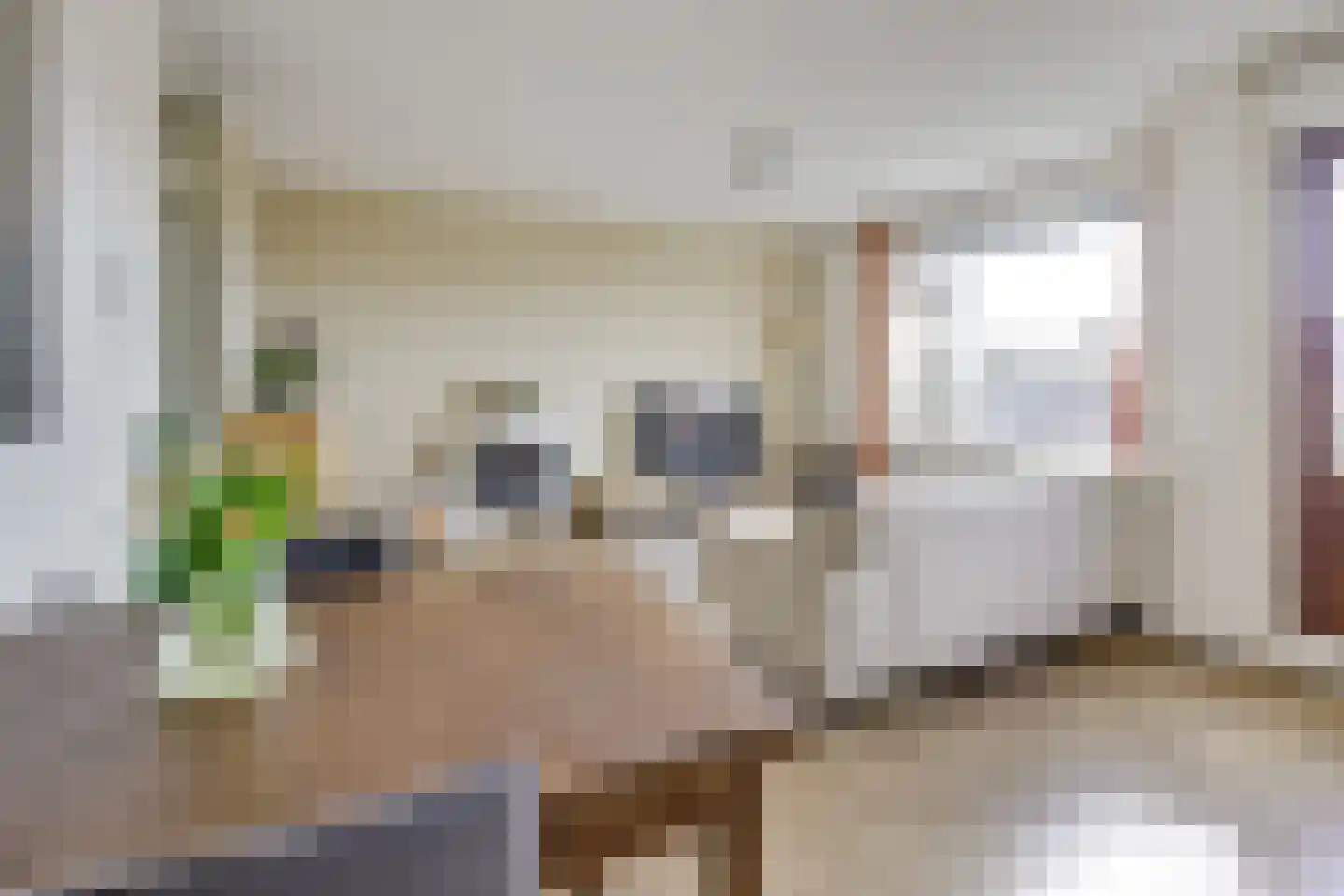 Zevenwouden 52 Utrecht thumbnail 15