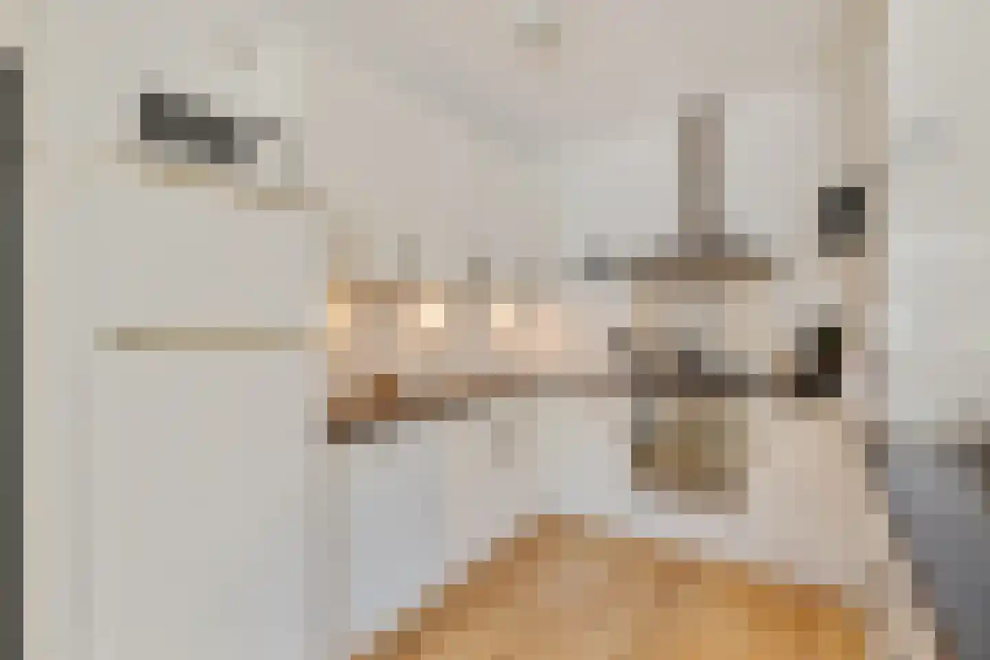 Zevenwouden 66 Utrecht thumbnail 11