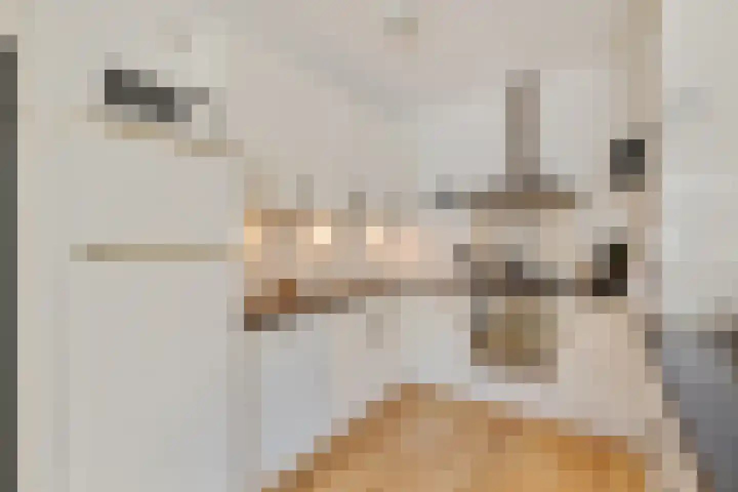 Zevenwouden 66 Utrecht thumbnail 16