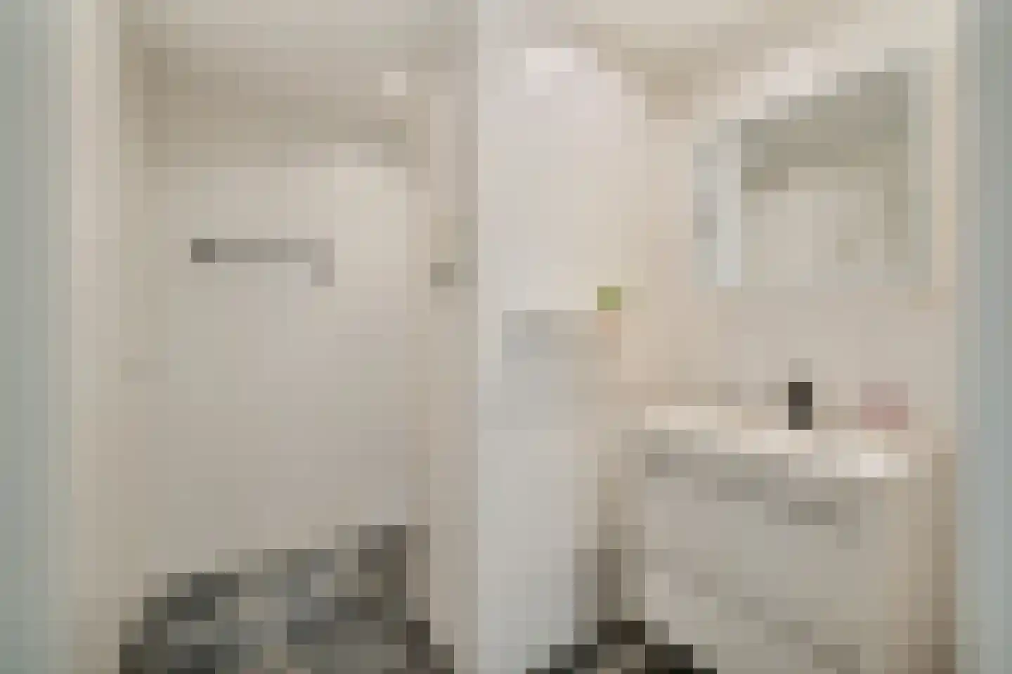 Zevenwouden 66 Utrecht thumbnail 21