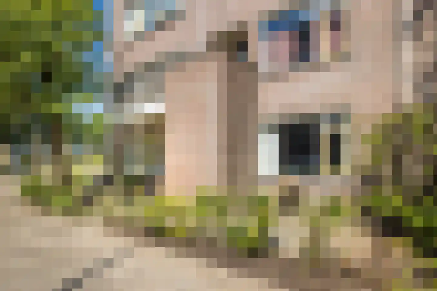 Zevenwouden 66 Utrecht thumbnail 4