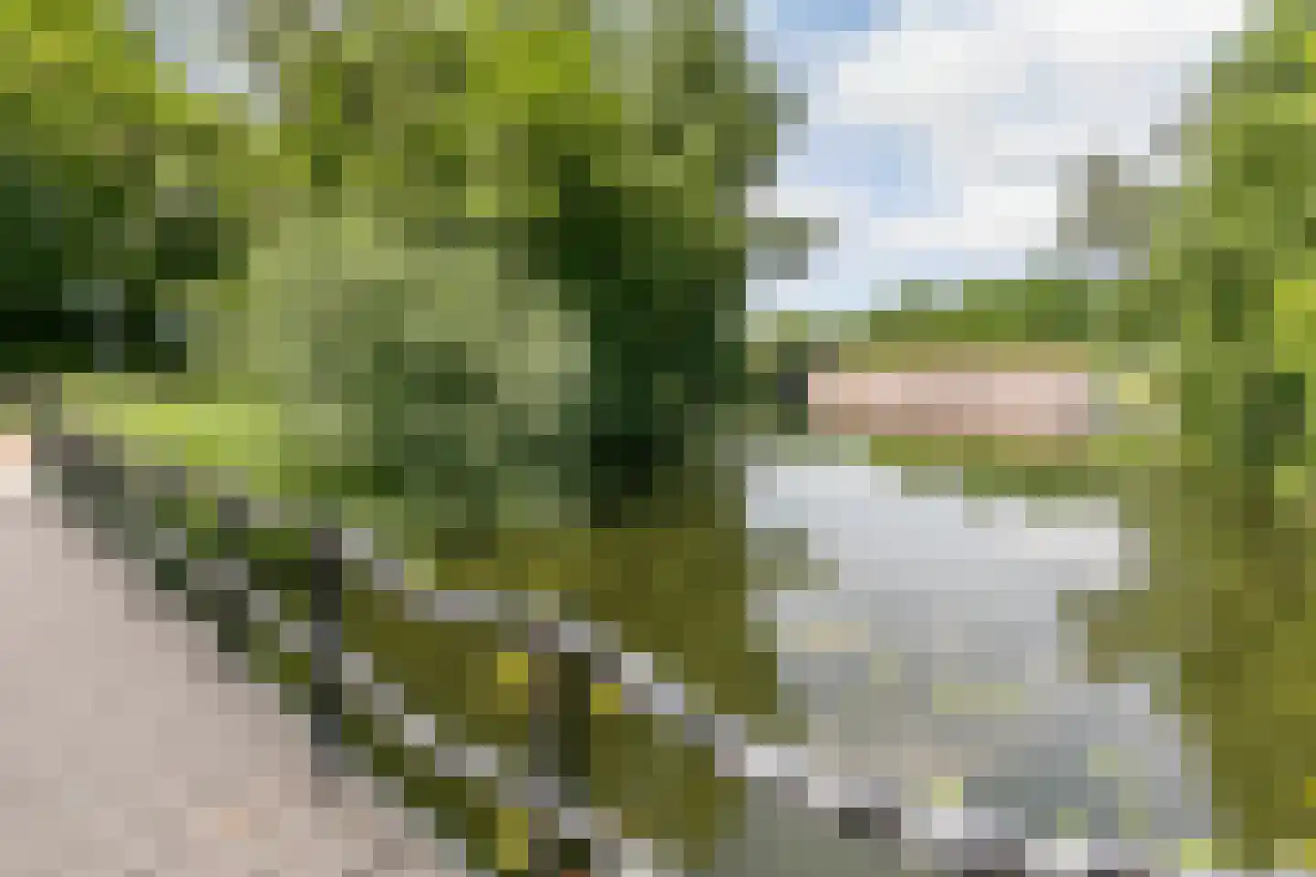 Zevenwouden 66 Utrecht thumbnail 40